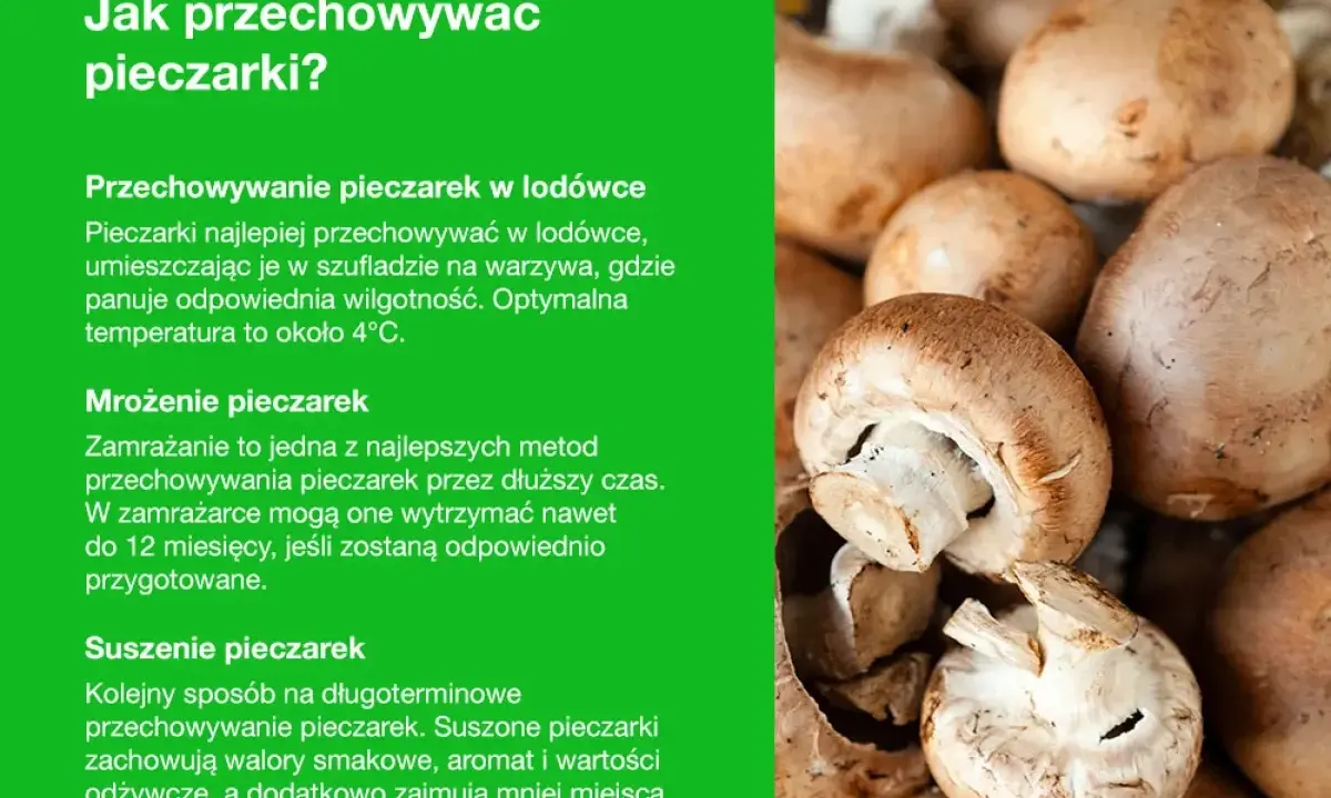 Jak przechowywać pieczarki? W lodówce, przez mrożenie lub suszenie. Świeże pieczarki w szufladzie na warzywa.