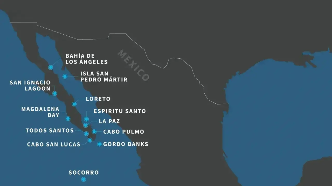 Mapa pokazuje miejsca na Półwyspie Kalifornijskim, które warto odwiedzić, kiedy do Meksyku.