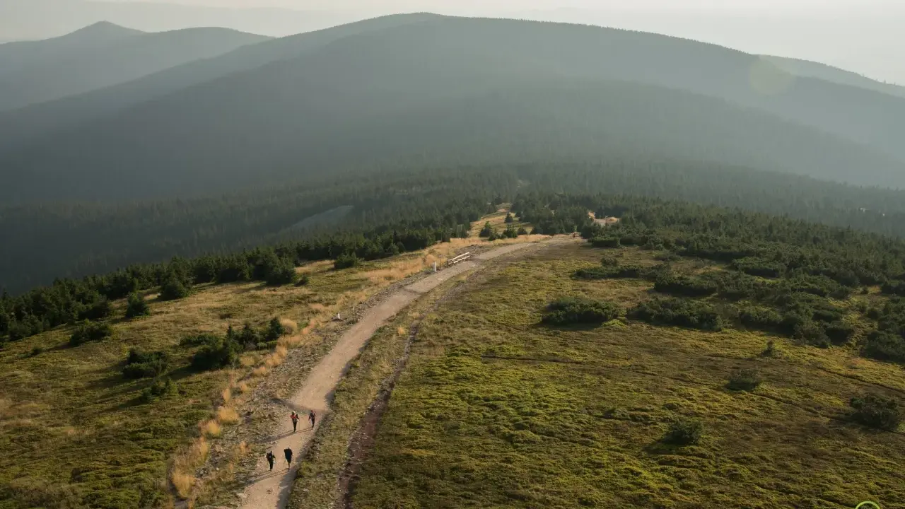 Widok na pasmo górskie Śnieżnik, gdzie szlak prowadzi przez trawiaste zbocza i lasy.