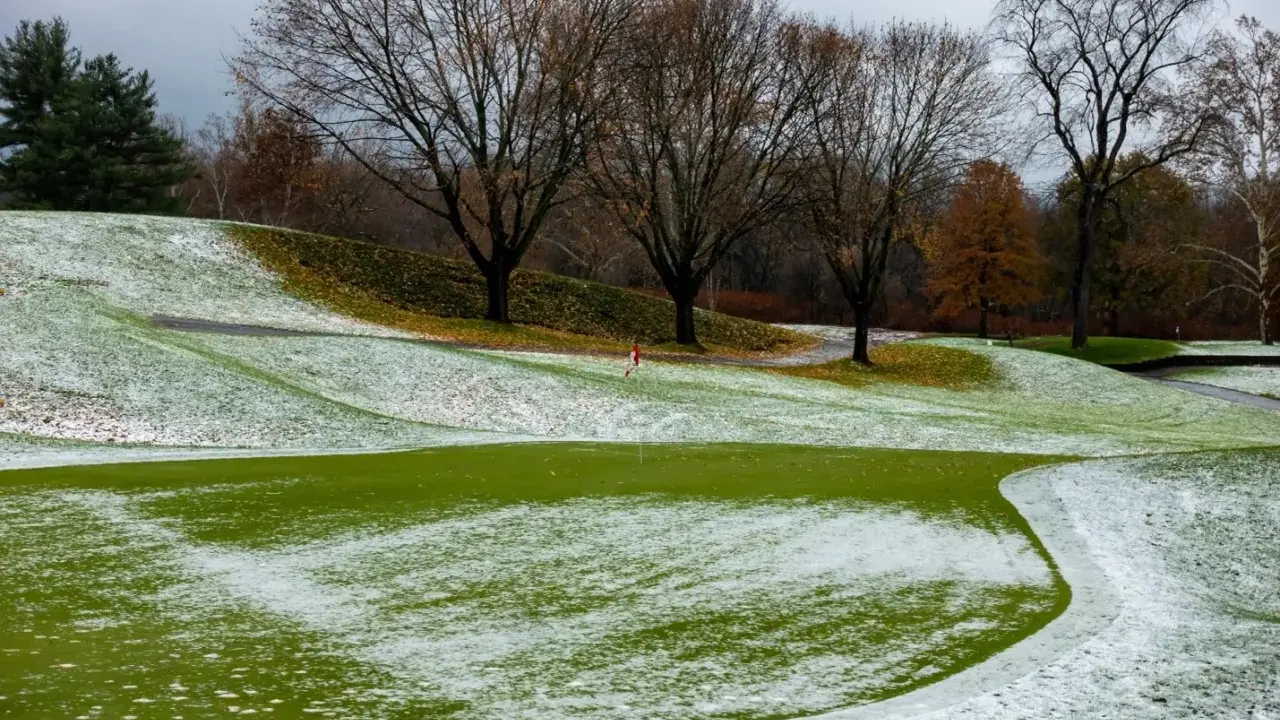 A golf course with patches of pink snow mold on the green grass, trees with bare branches, and a cloudy sky.