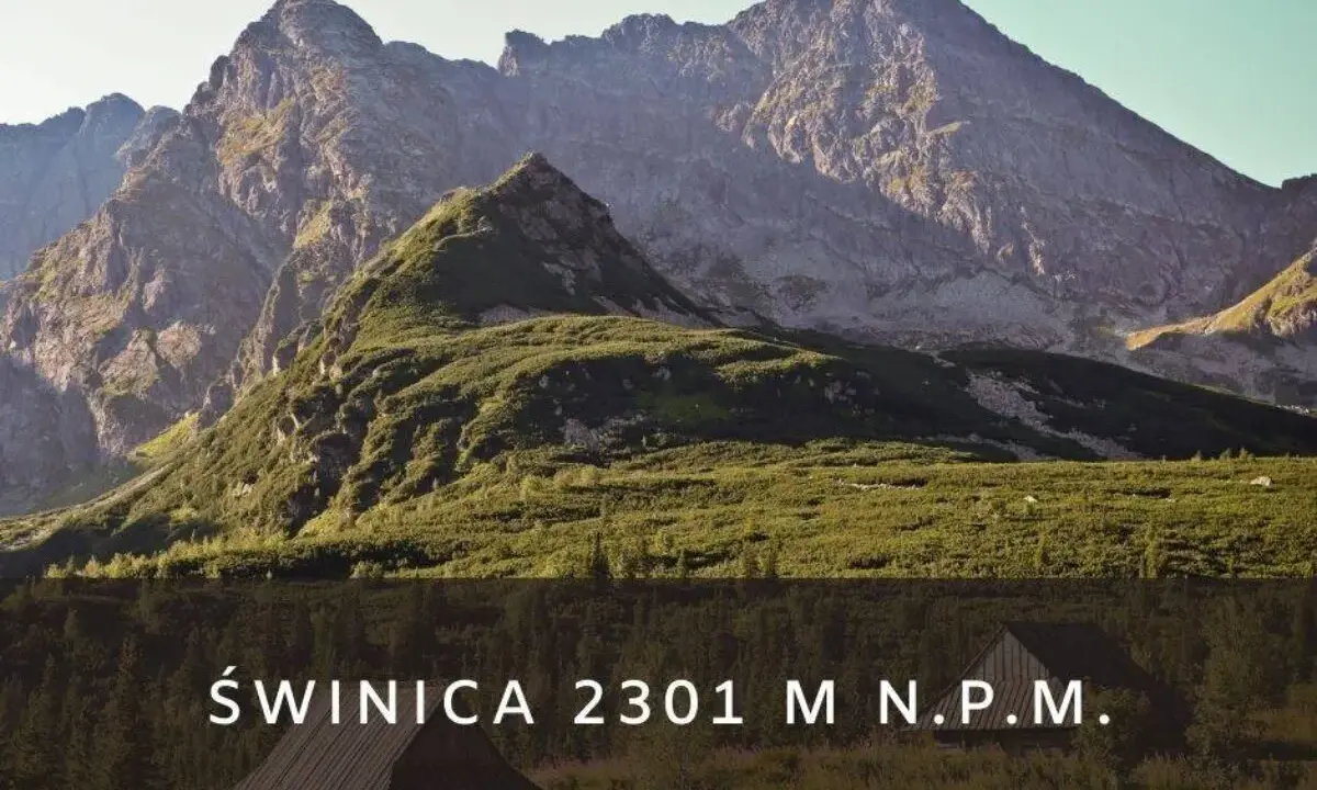 Majestatyczny szczyt w Tatrach Wysokich o dwóch wierzchołkach, Świnica, wznosi się dumnie nad zielonymi zboczami.