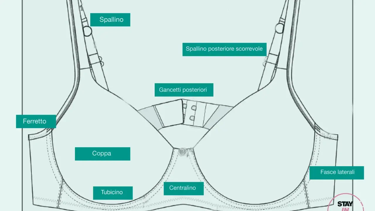 Schema tecnico di un reggiseno con etichette per le parti: spallino, ferretto, coppa, tubicino, centralino, gancetti posteriori, fasce laterali.