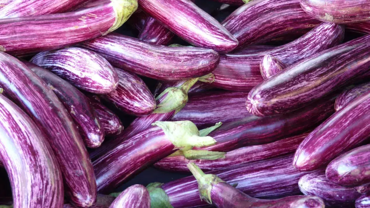 Un tas d'aubergines zébrées, parfaites pour une recette d'aubergine savoureuse.