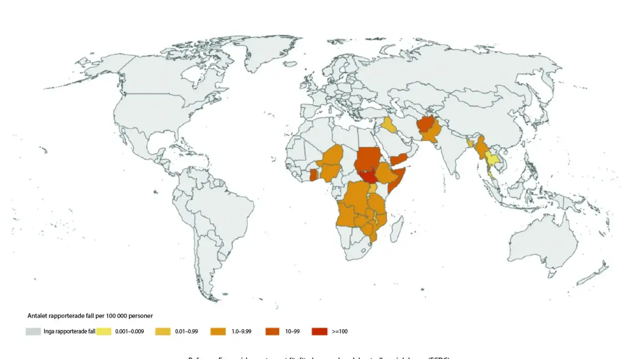 Världskarta som visar kolerafall per 100 000 personer. Mörka områden i Afrika och Asien indikerar högre smittspridning, vilket ger en bild av hur smittar kolera.