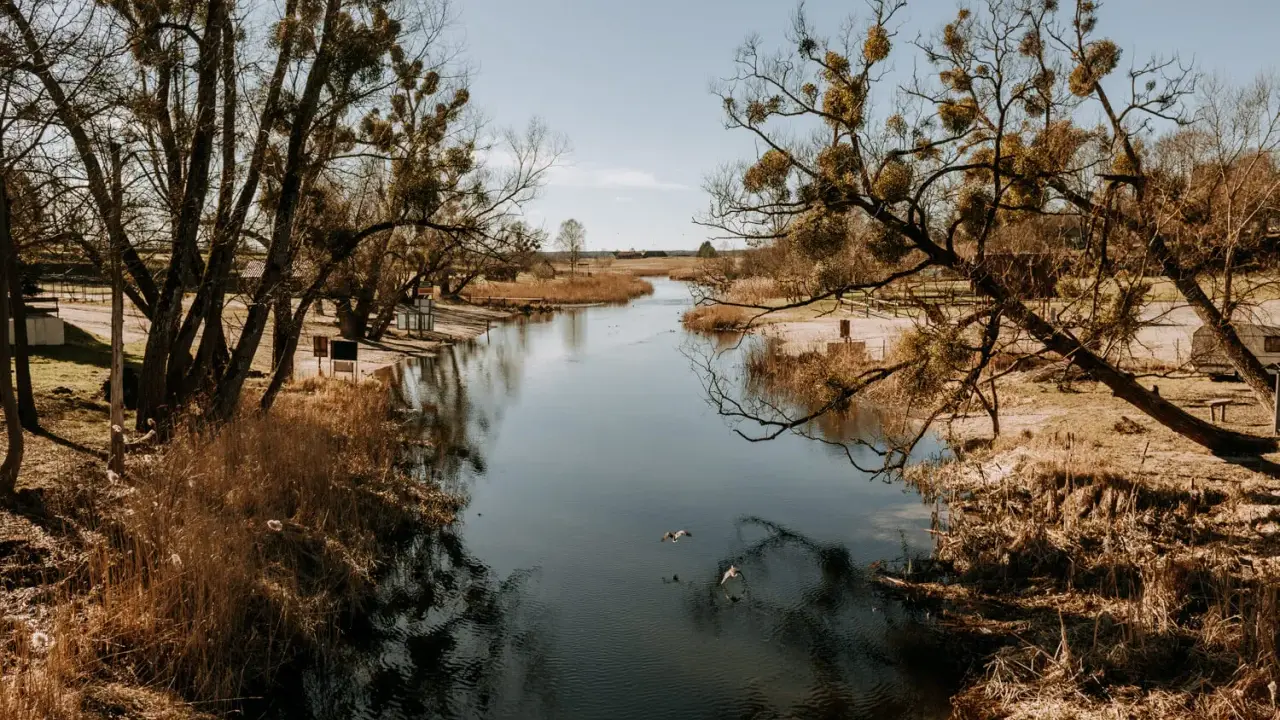 Spokojna rzeka, drzewa z jemiołą i trzciny. Idealne miejsce, by zastanowić się, gdzie na Mazury.