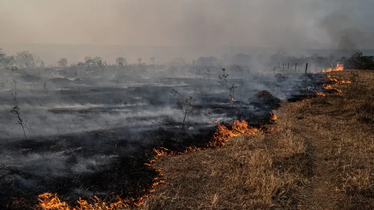 Metan gaz cieplarniany: 80x silniejszy od CO2. Co dalej?