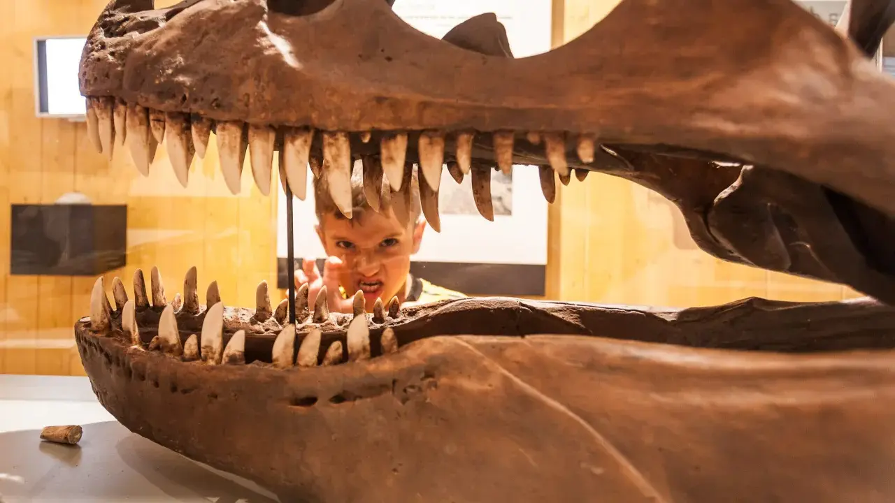 Niño asomándose por la boca de un esqueleto de dinosaurio, una idea genial para saber qué ver en Logroño con niños y vivir una aventura jurásica.