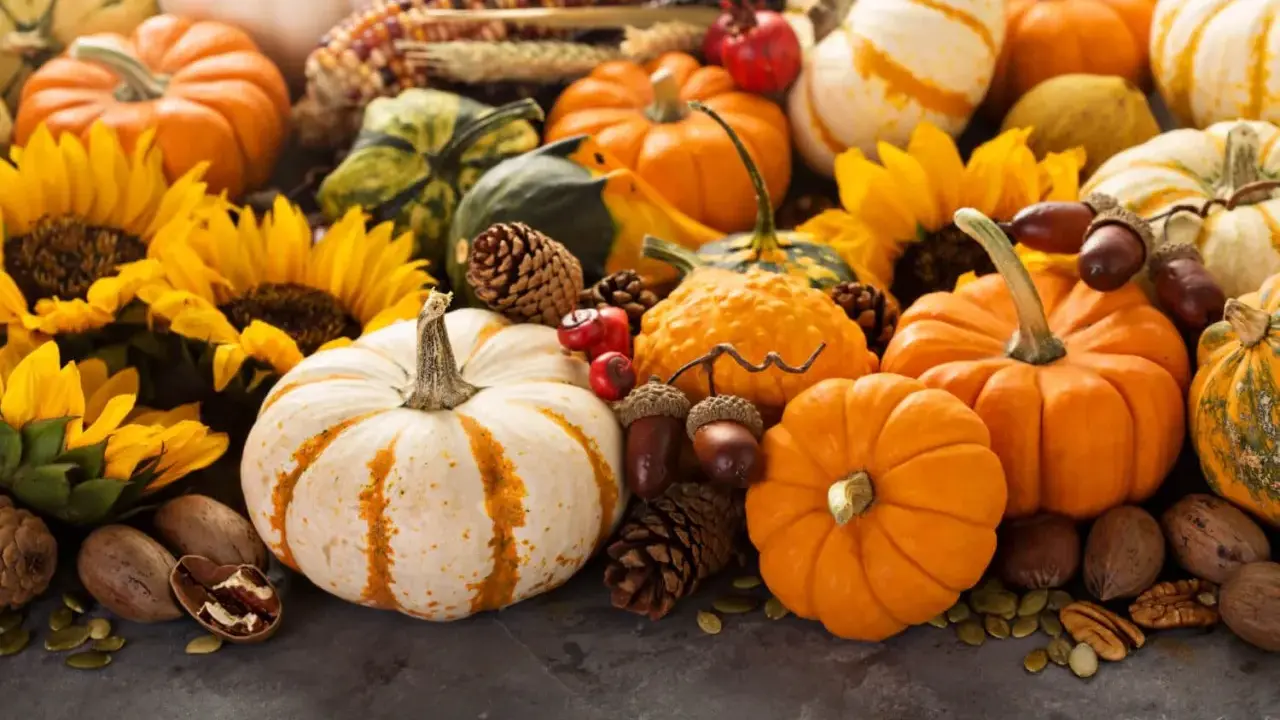 A festive autumn display featuring a variety of pumpkins, gourds, sunflowers, pinecones, acorns, and nuts.
