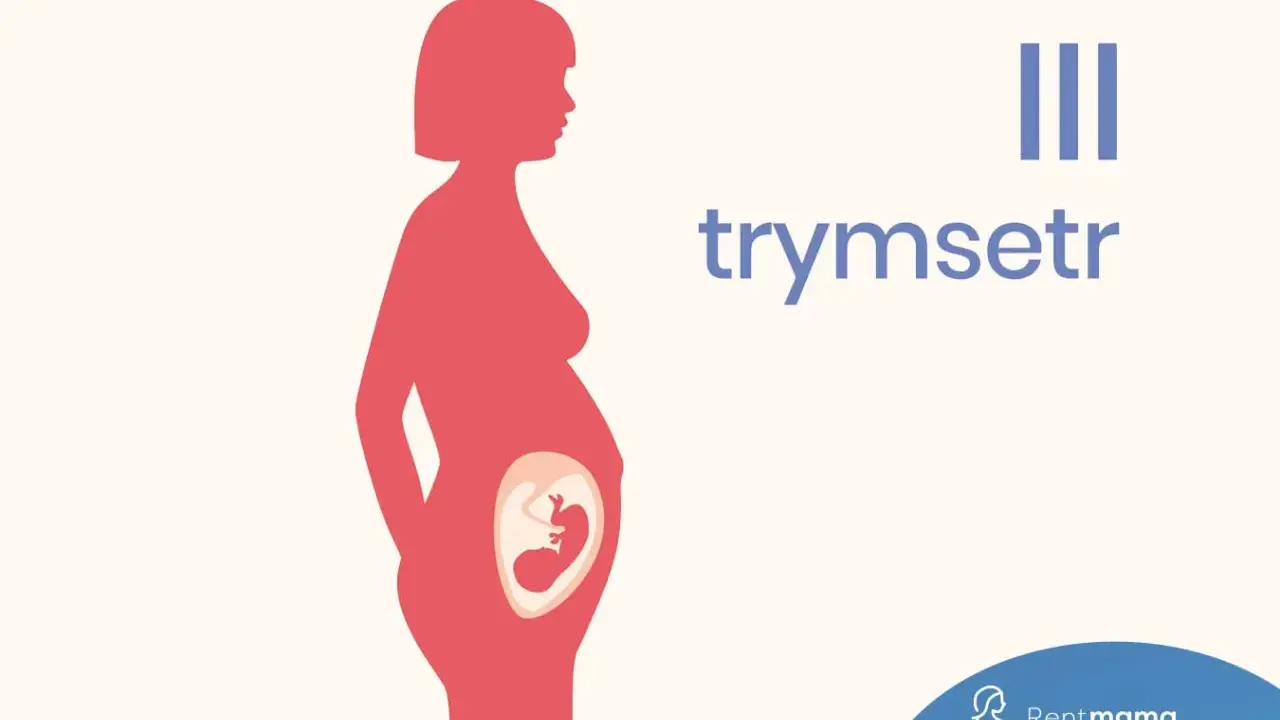 III trymestr ciąży: sylwetka kobiety w ciąży z widocznym płodem.