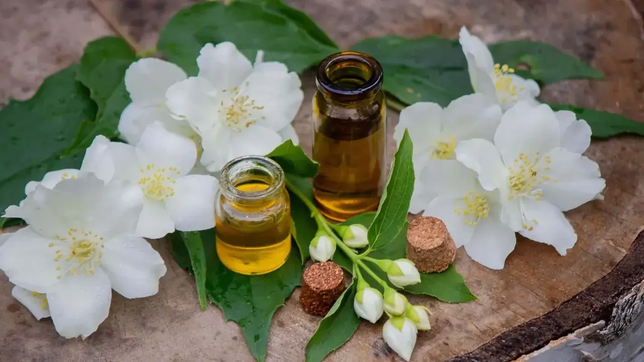 Deux petites fioles d'huile essentielle fleur d'oranger, entourées de fleurs de jasmin blanches et de feuilles vertes sur un fond de bois.