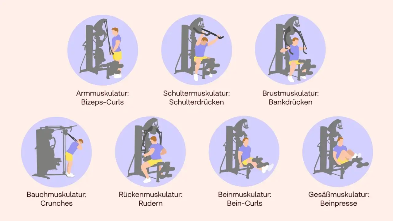Illustrationen zeigen verschiedene Übungen für Kraftsport zu Hause an einem Gerät: Bizeps-Curls, Schulterdrücken, Bankdrücken, Crunches, Rudern, Bein-Curls und Beinpresse.