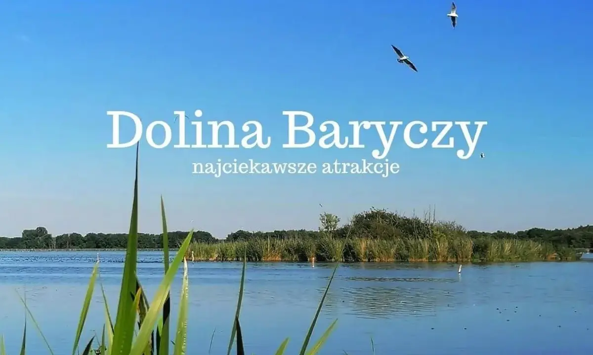 Dolina Baryczy, malowniczy krajobraz z wodą, trzcinami i ptakami w locie. Odkryj najciekawsze atrakcje tego miejsca.