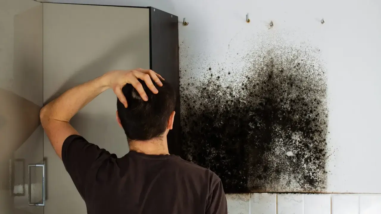 Mann kratzt sich am Kopf und blickt auf einen großen Fleck schwarzen Schimmel an der Wand neben einem Küchenschrank.