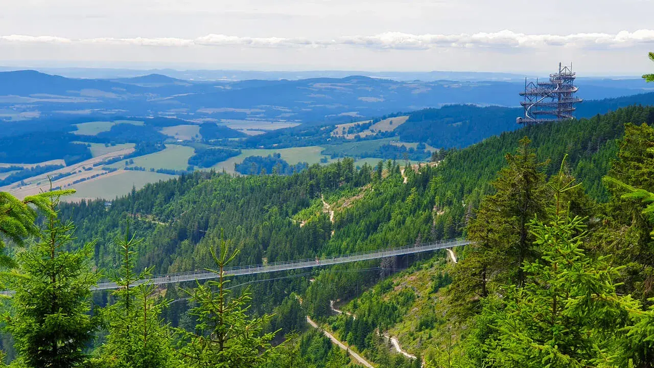 Widok na Dolní Morava most wiszący nad zielonymi lasami i wzgórzami. W oddali widać wieżę widokową.