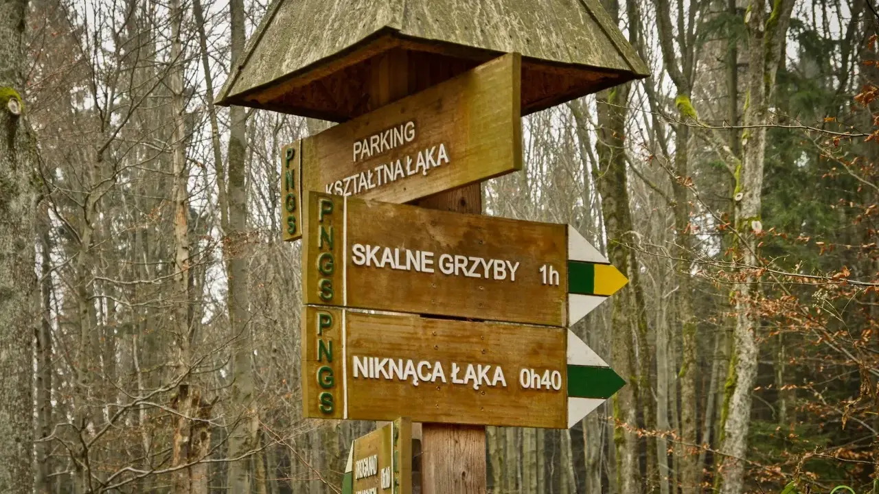 Drewniany drogowskaz w lesie wskazuje drogę do "SKALNE GRZYBY" (1h) i "NIKNĄCA ŁĄKA" (0h40).