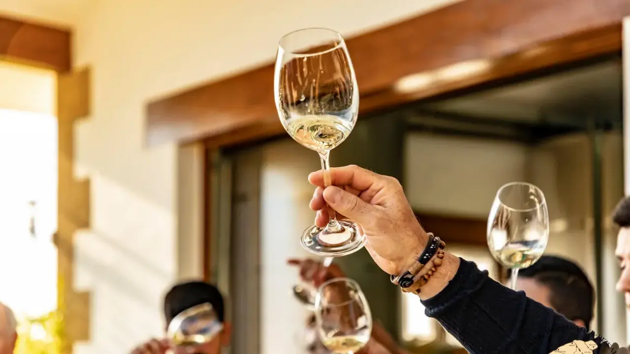 Manos brindando con copas de vino blanco. ¿Qué es chacolí? Es un vino joven y fresco, ideal para disfrutar en buena compañía.