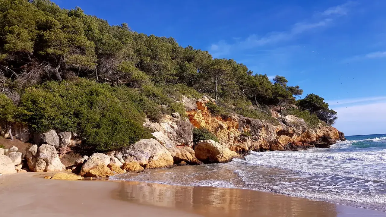 Sandstrand mit Felsen und Pinienwald an der Küste von La Mora, Spanien. Wellen brechen sanft am Ufer.