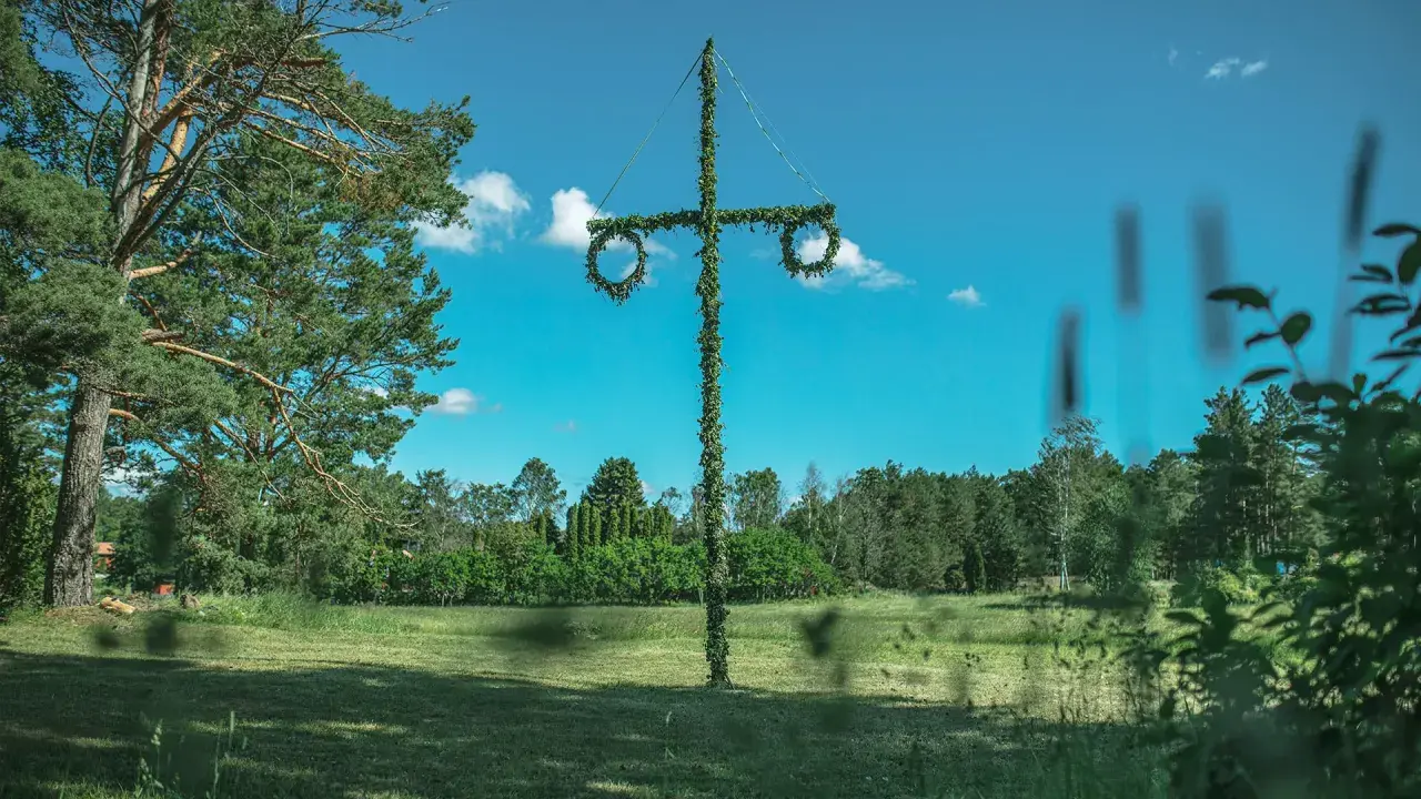En midsommarstång i en grönskande äng, redo för fest. Här firar man midsommar med dans och sång.