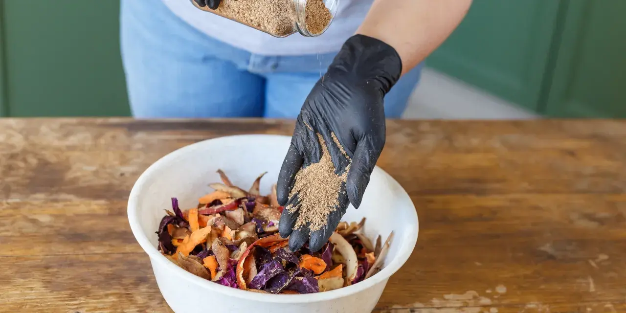 Ajout de bran de riz pour le bokashi maison. Des restes de légumes colorés attendent dans un bol blanc.