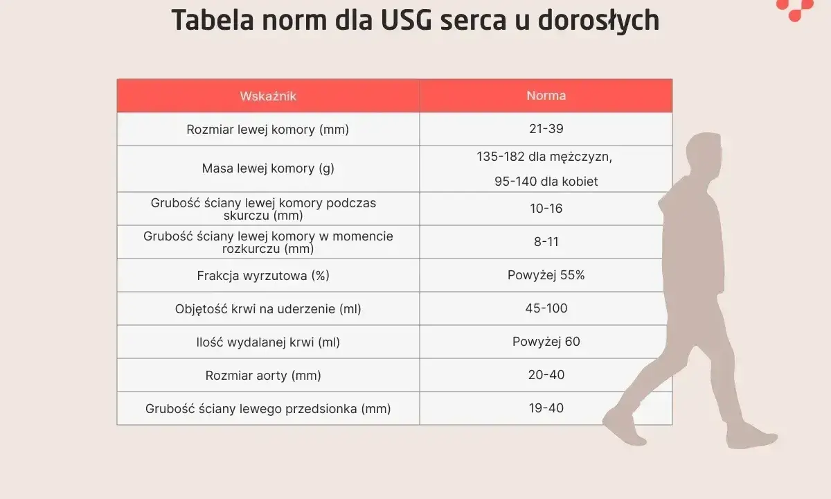 Tabela norm dla USG serca u dorosłych. Poznaj echo serca co to za badanie i jakie są jego normy.