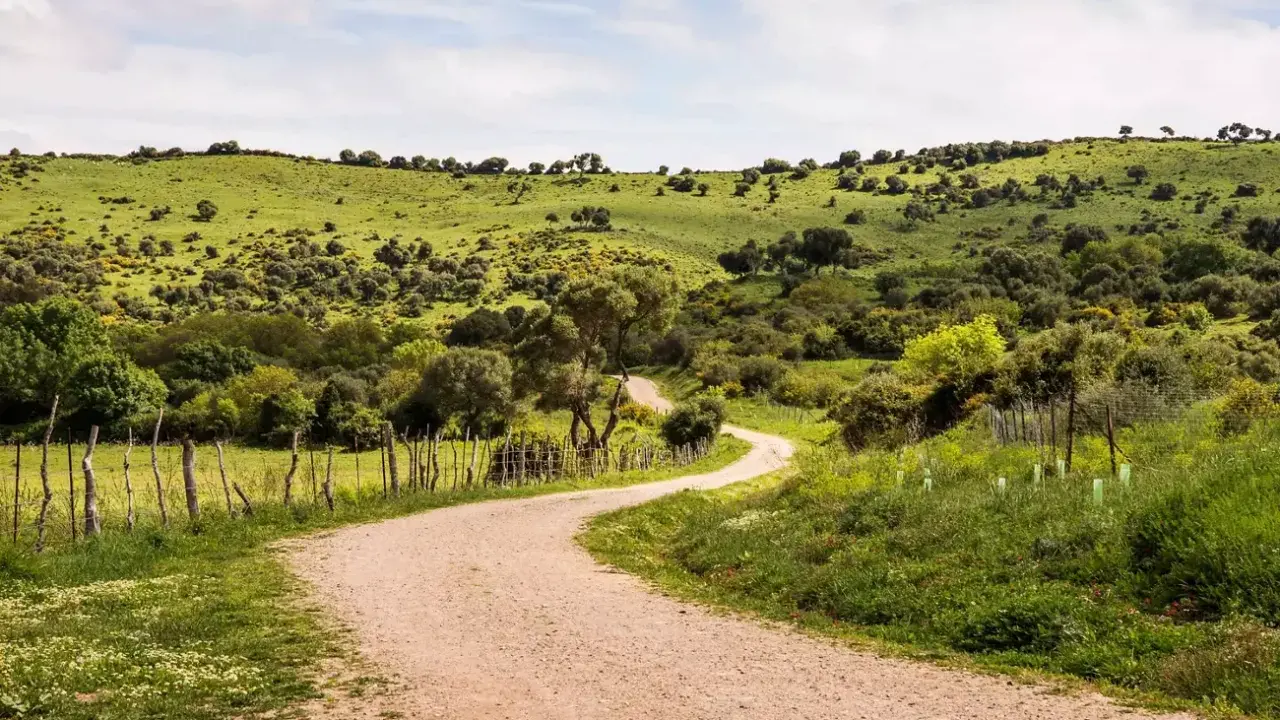 Camino de tierra serpentea por colinas verdes, ideal para rutas senderismo Cádiz.