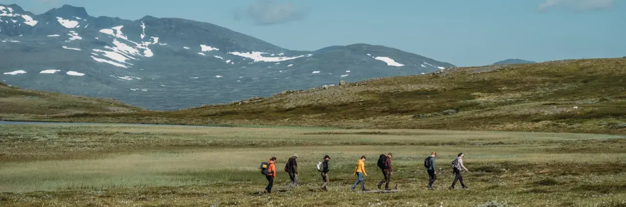 Vandring i fjällandskap med snöklädda toppar, en grupp vandrare med ryggsäckar rör sig genom gräs och ljung mot Helags Sylarna.