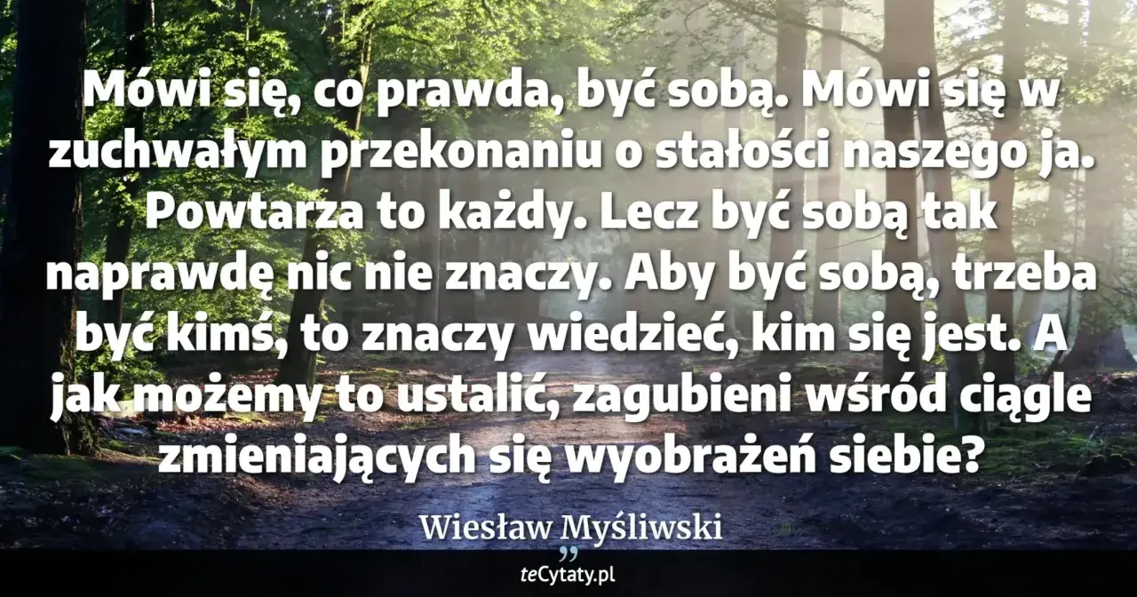 Las skąpany w słońcu. Cytat: "Aby być sobą, trzeba być kimś, to znaczy wiedzieć, kim się jest. A jak możemy to ustalić, zagubieni wśród ciągle zmieniających się wyobrażeń siebie?" Wiesław Myśliwski. Wiem że nic nie wiem.