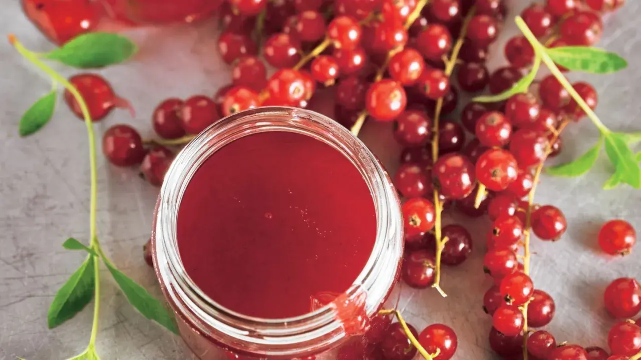 Ein Glas mit rotem Johannisbeergelee, umgeben von frischen Johannisbeeren. Perfekt zum Johannisbeeren einkochen.