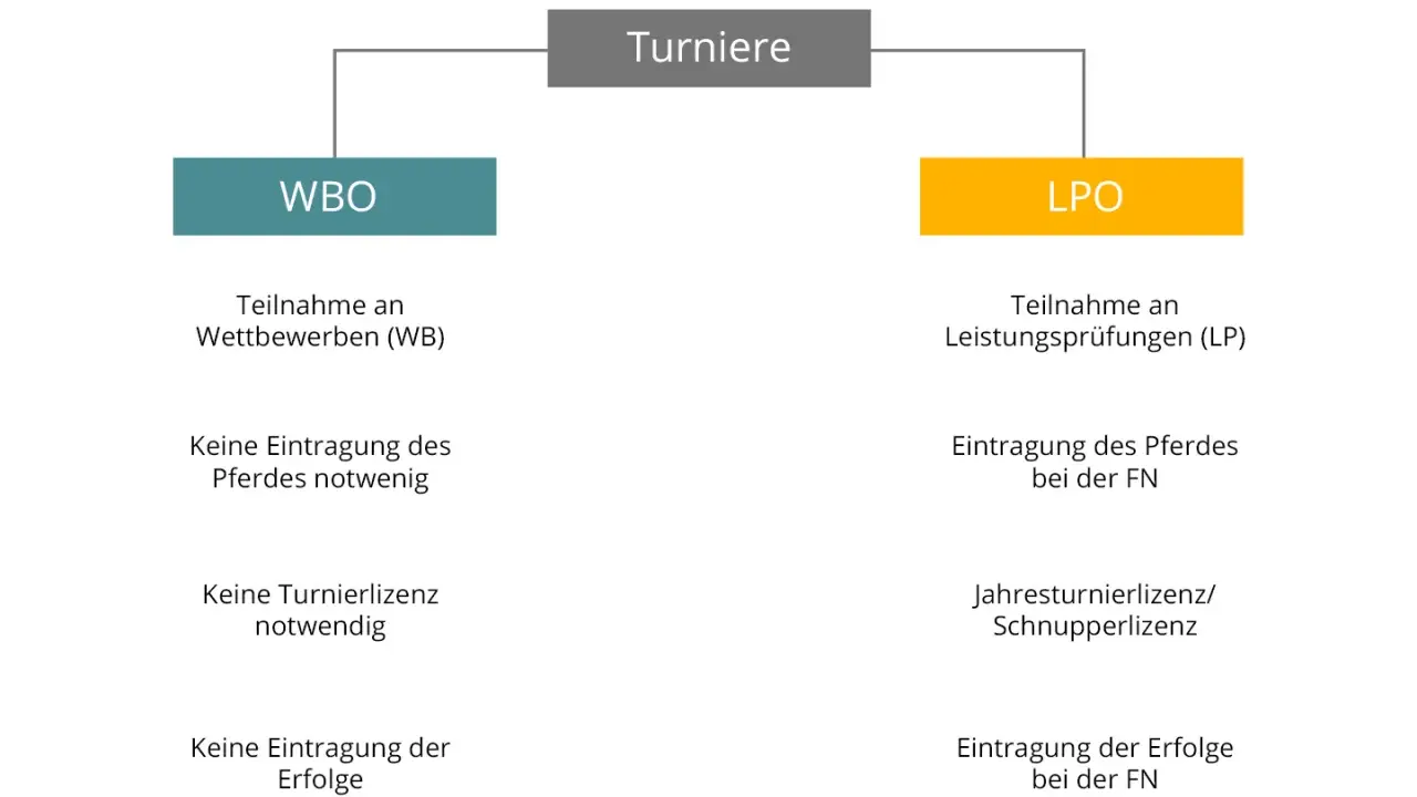 Schema zu Turnieren: WBO für Wettbewerbe ohne Pferde- oder Turnierlizenz, LPO für Leistungsprüfungen mit Eintragungspflichten.