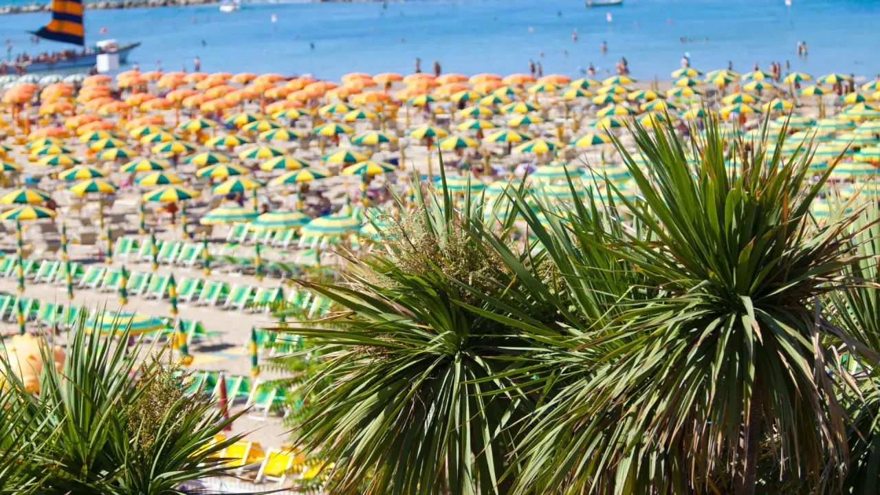Palme verdi in primo piano su una spiaggia affollata della riviera romagnola, con ombrelloni gialli e arancioni e il mare azzurro sullo sfondo.