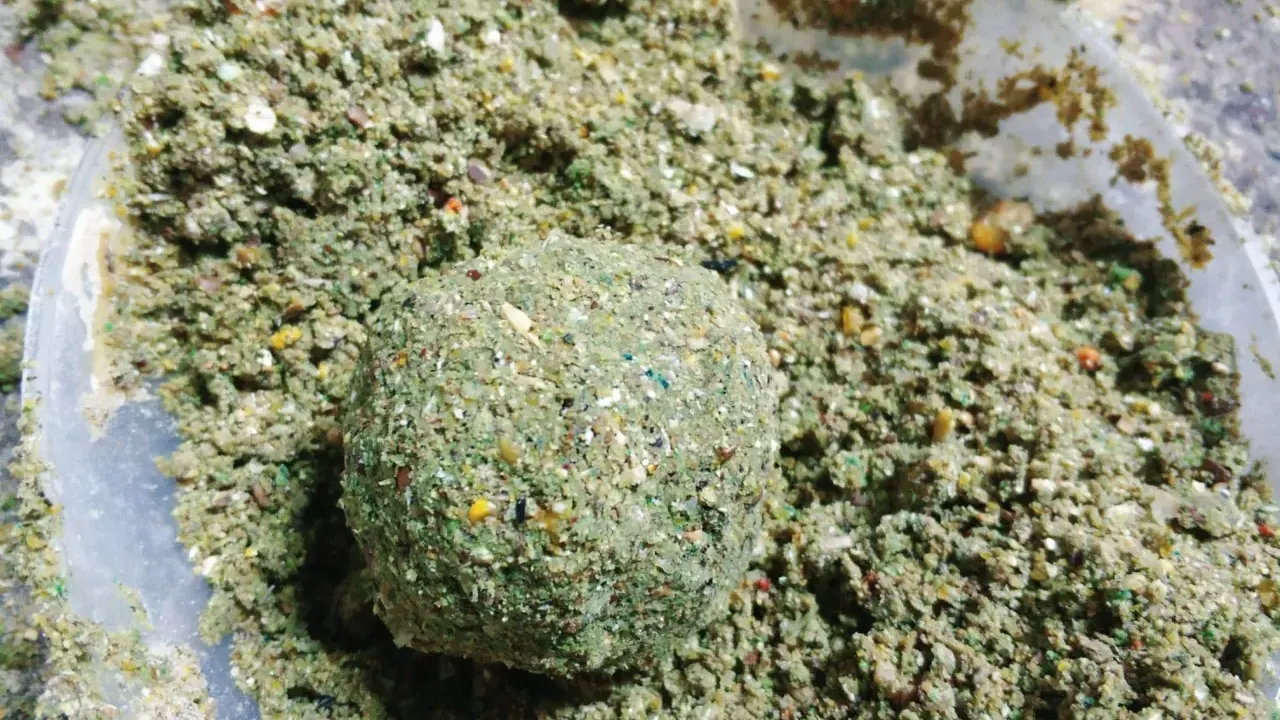 Domowa zanęta na lina, kulka z mieszanki ziaren i ziół w plastikowym pojemniku.