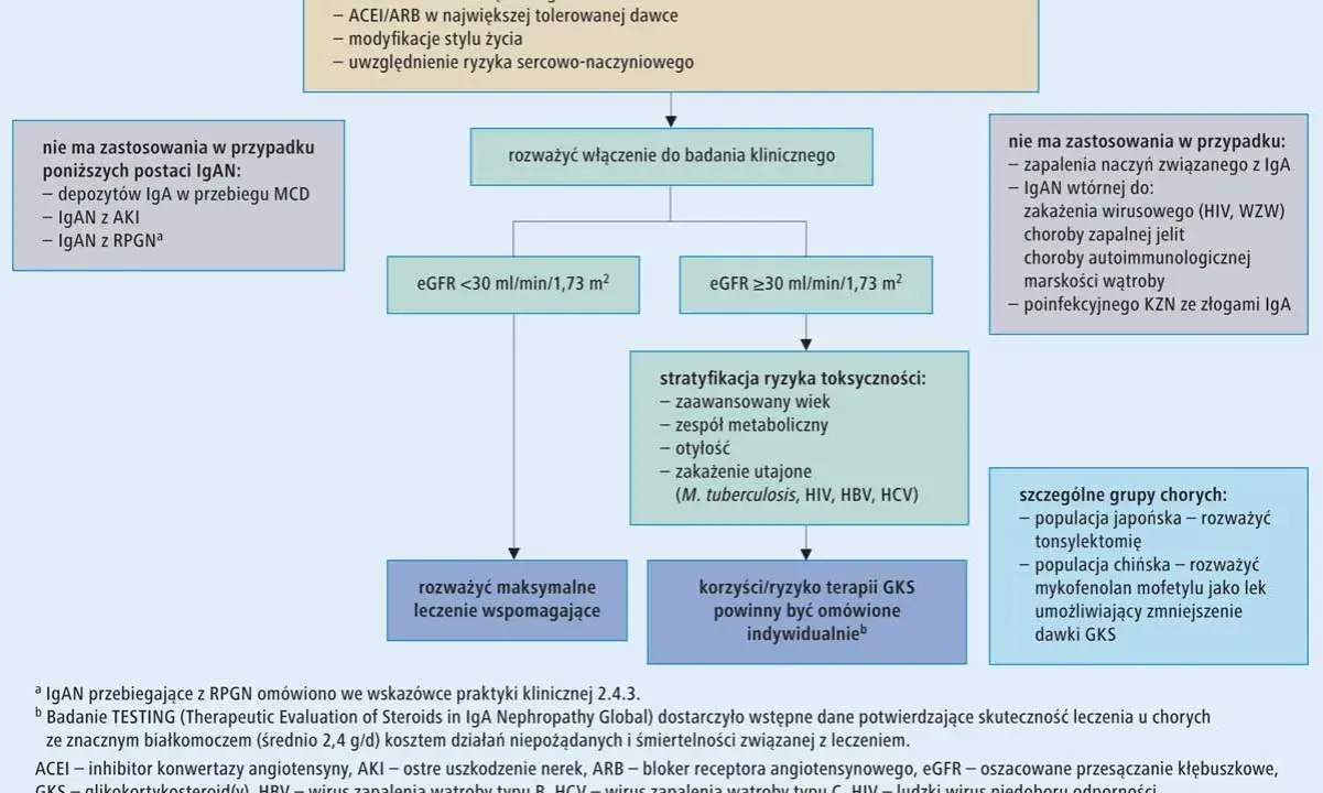 Algorytm postępowania w nefropatii IgA, gdy białkomocz >1 g/d. Jak poprawić przesączanie kłębuszkowe? Rozważ włączenie do badania klinicznego.