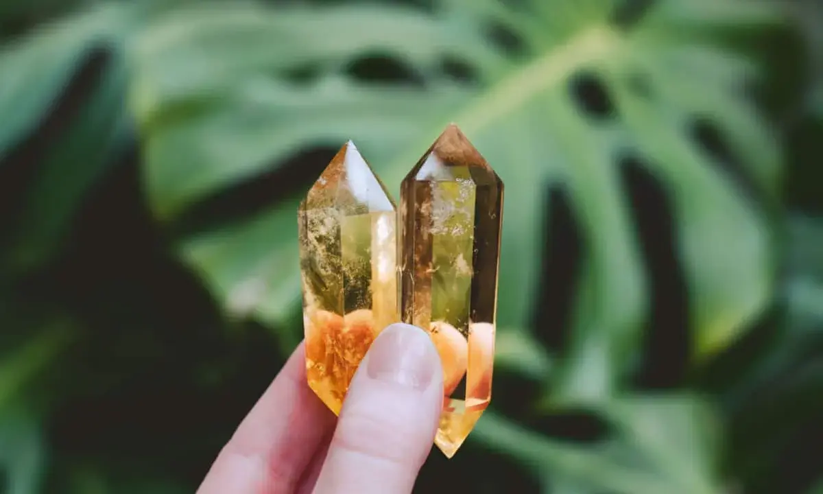 Due cristalli di quarzo giallo, luminosi e trasparenti, tenuti tra le dita, con foglie verdi sfocate sullo sfondo.