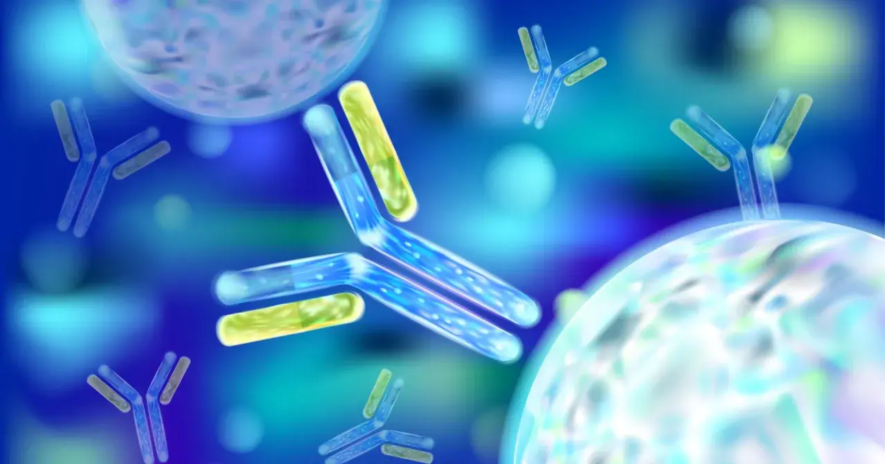 Błękitne przeciwciała atakują bakterie Helicobacter. To wizualizacja antybiotyku na helicobacter.