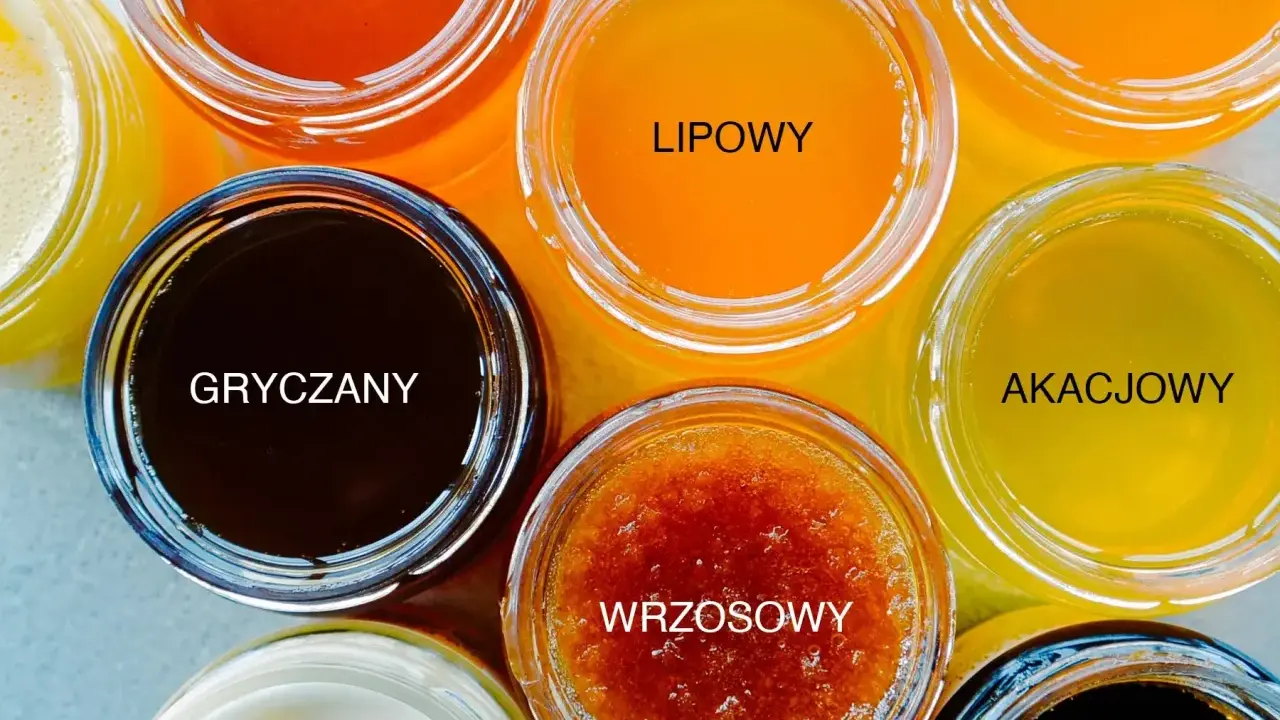 Siedem słoików z różnymi rodzajami miodów: leśny, gryczany, lipowy, wrzosowy, wielokwiatowy, akacjowy i spadziowy.
