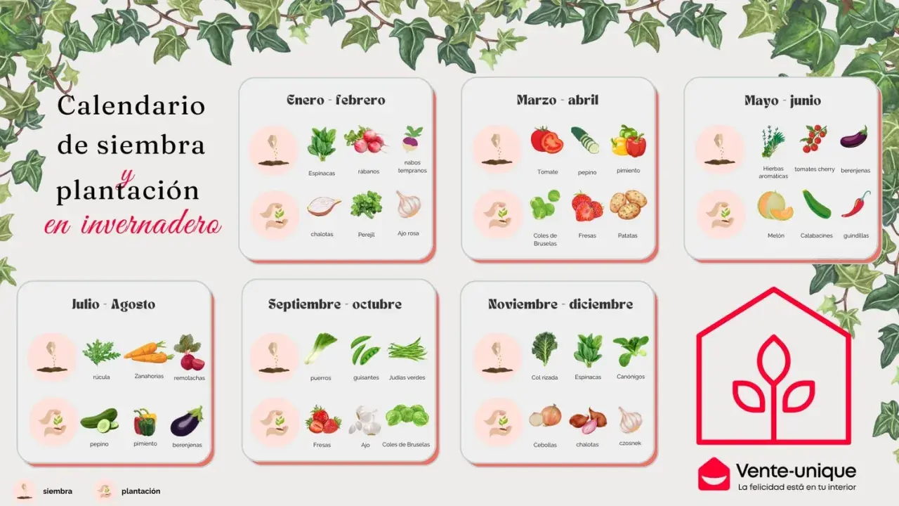 Calendario de siembra y plantación en invernadero, con cultivos para cada mes del año.