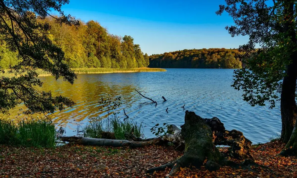 Jesienne barwy lasów nad jeziorem, idealne miejsce na odkrywanie szlaków turystycznych w Polsce.