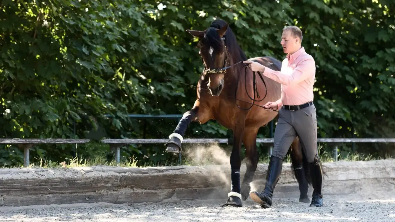 Ein Mann führt ein Pferd im spanischen Schritt. Das Pferd hebt ein Bein hoch, Staub wirbelt auf.
