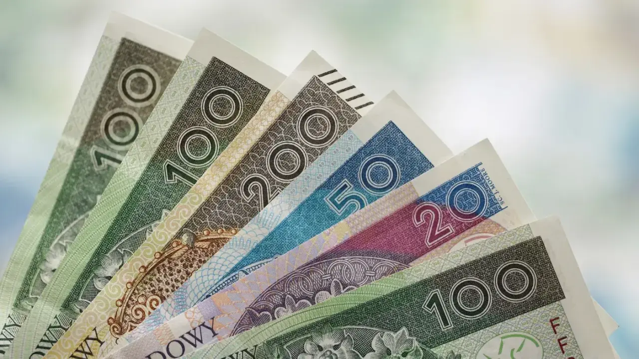 Złotówki w różnych nominałach, od 20 do 200 zł, ułożone wachlarzowo. Mogą symbolizować przyszłe świadczenie pielęgnacyjne 2026.