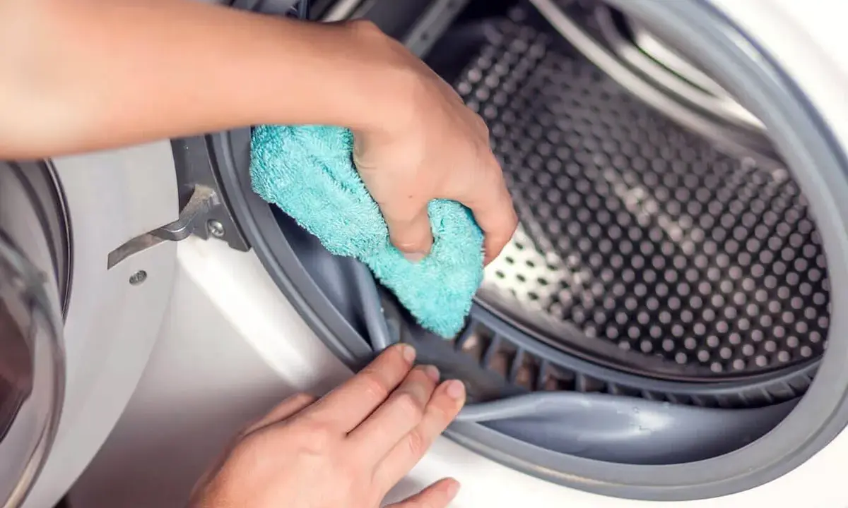 Limpiando la goma de la lavadora para eliminar el mal olor.