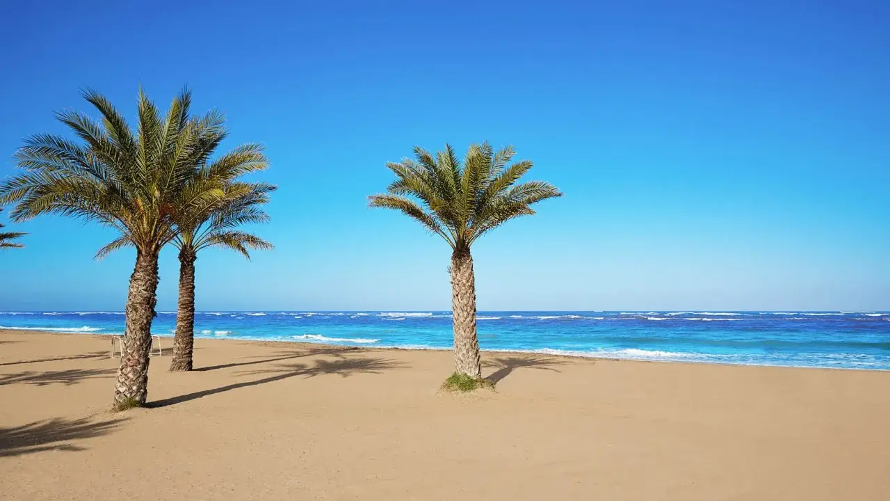 Palmen säumen den Sandstrand von Denia an der Costa Blanca. Das türkisfarbene Meer lädt zum Träumen ein.