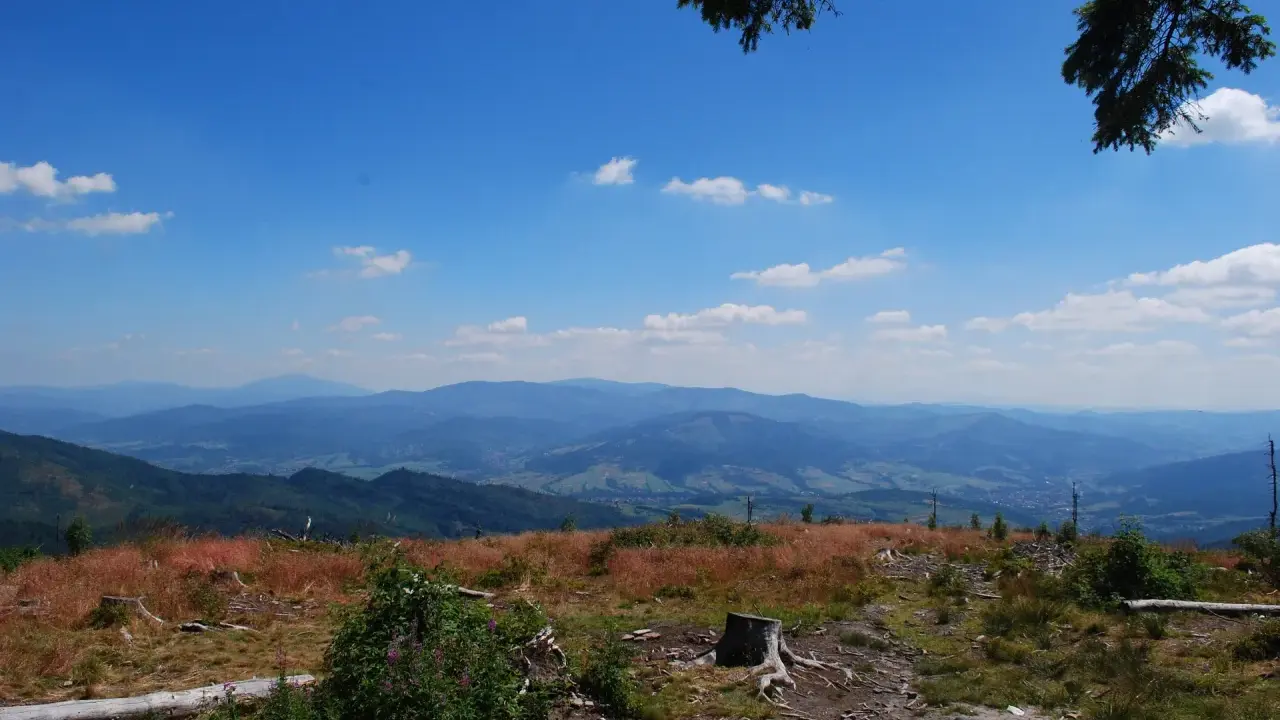 Widok na malownicze **beskidy szczyty** w słoneczny dzień. Na pierwszym planie trawa, pnie drzew i krzewy. W oddali widać kolejne pasma górskie.