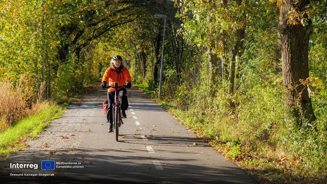 En person cyklar på en asfalterad cykelväg kantad av träd i höstfärger. En härlig cykeltur i Åkersberga.