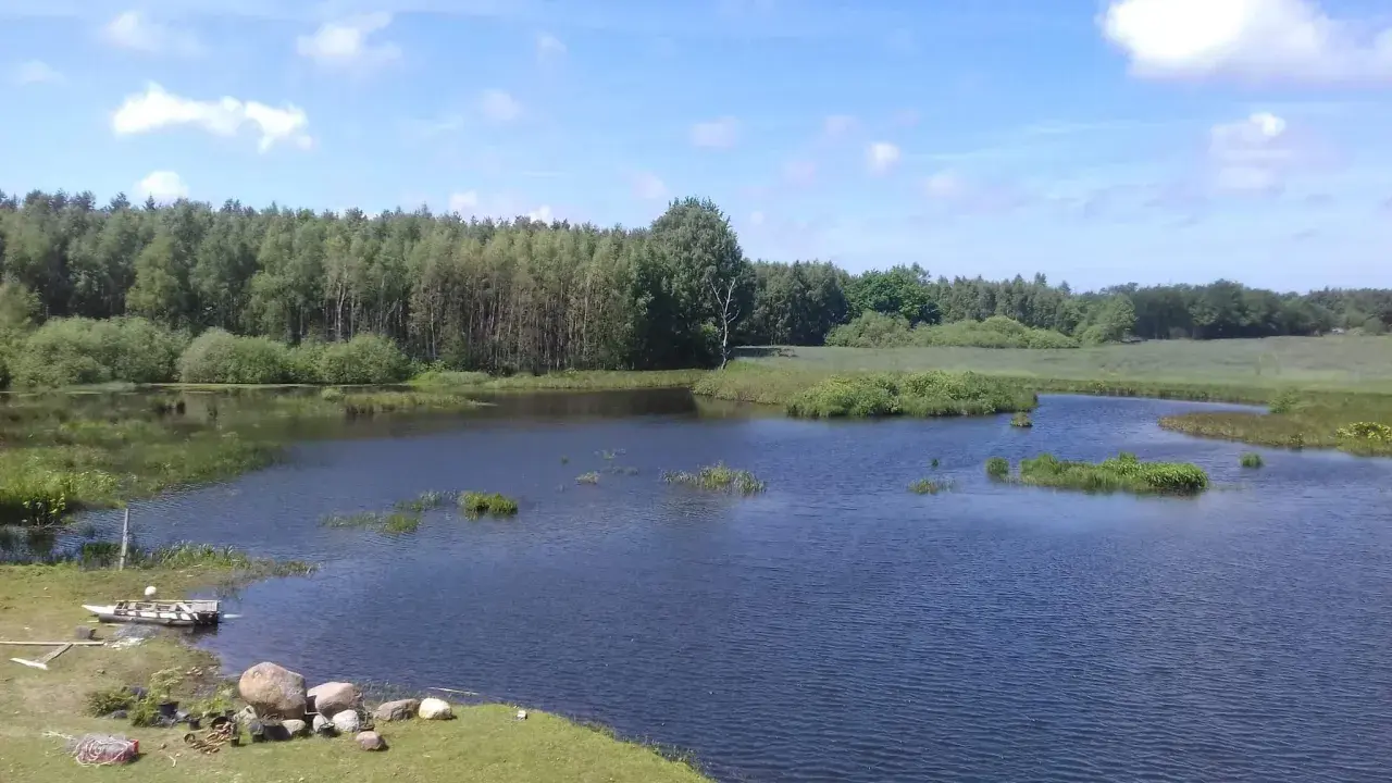 Spokojne łowisko Stojkowo otoczone lasem, z łódką przy brzegu i kamieniami.