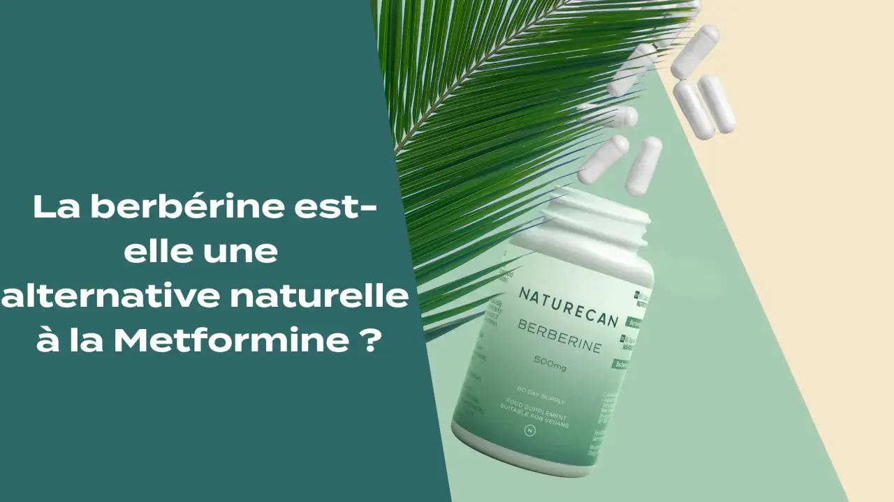 Gélules de berbérine, une alternative naturelle aux bienfaits potentiels, avec une feuille de palmier.