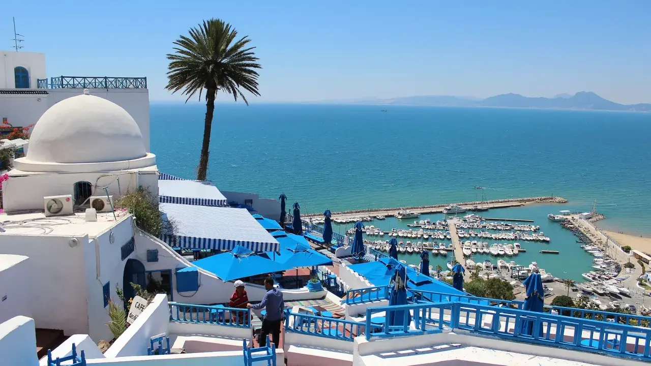 La Goulette, Tunisia: cosa vedere? Un panorama mozzafiato con il porto turistico, il mare azzurro e le case bianche con cupole e palme.