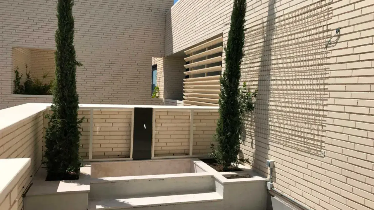 Terraza moderna con cipreses y un retranqueo de fachada que crea un espacio íntimo.