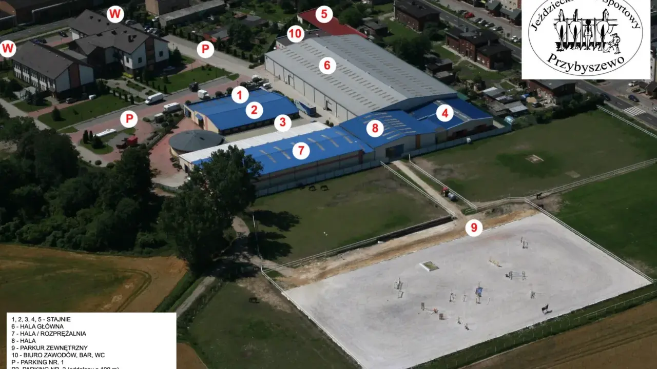 Stadnina Koni Leszno: Jak wybrać? Ceny, usługi Twój przewodnik