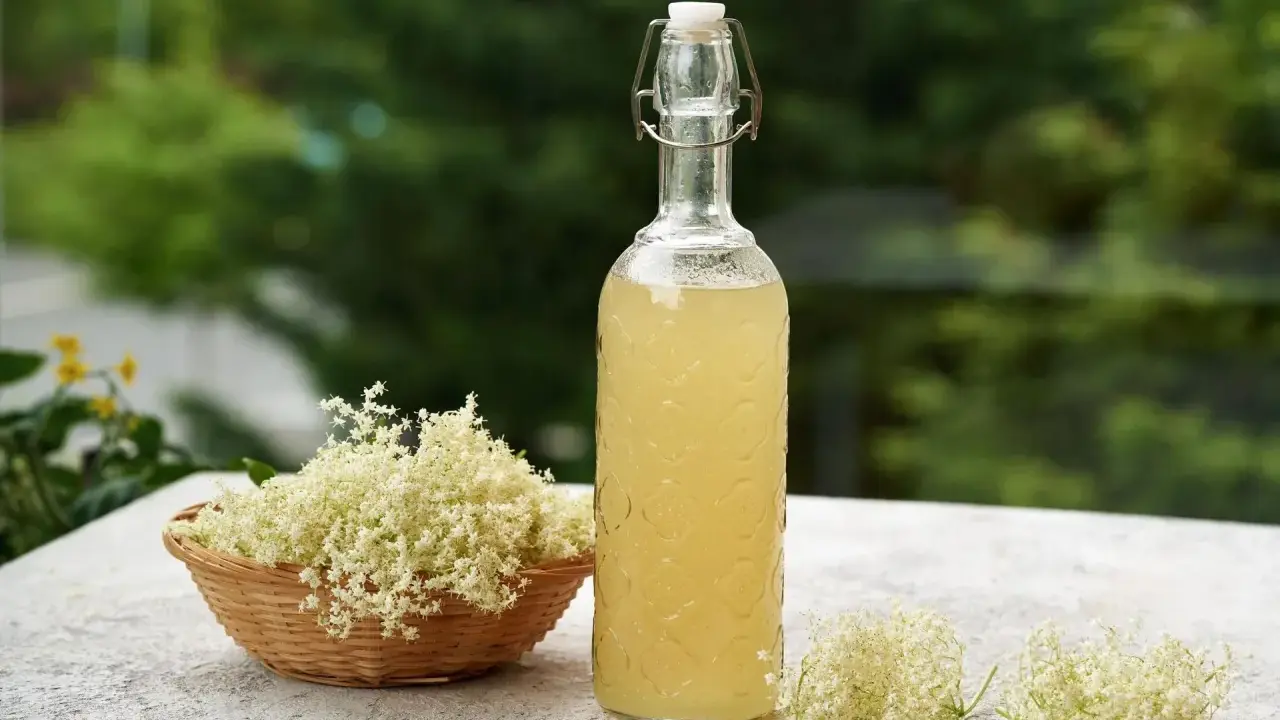 Syrop z kwiatu czarnego bzu: na co? Od przeziębienia po domowe SPA!