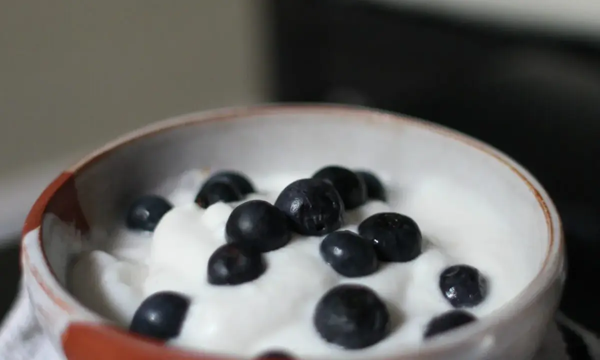 Schüssel mit cremigem Joghurt und Blaubeeren, perfekt für dein mandeljoghurt selber machen Projekt.